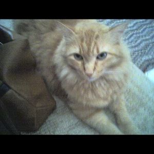 ALL OFFERS CONSIDERED😉